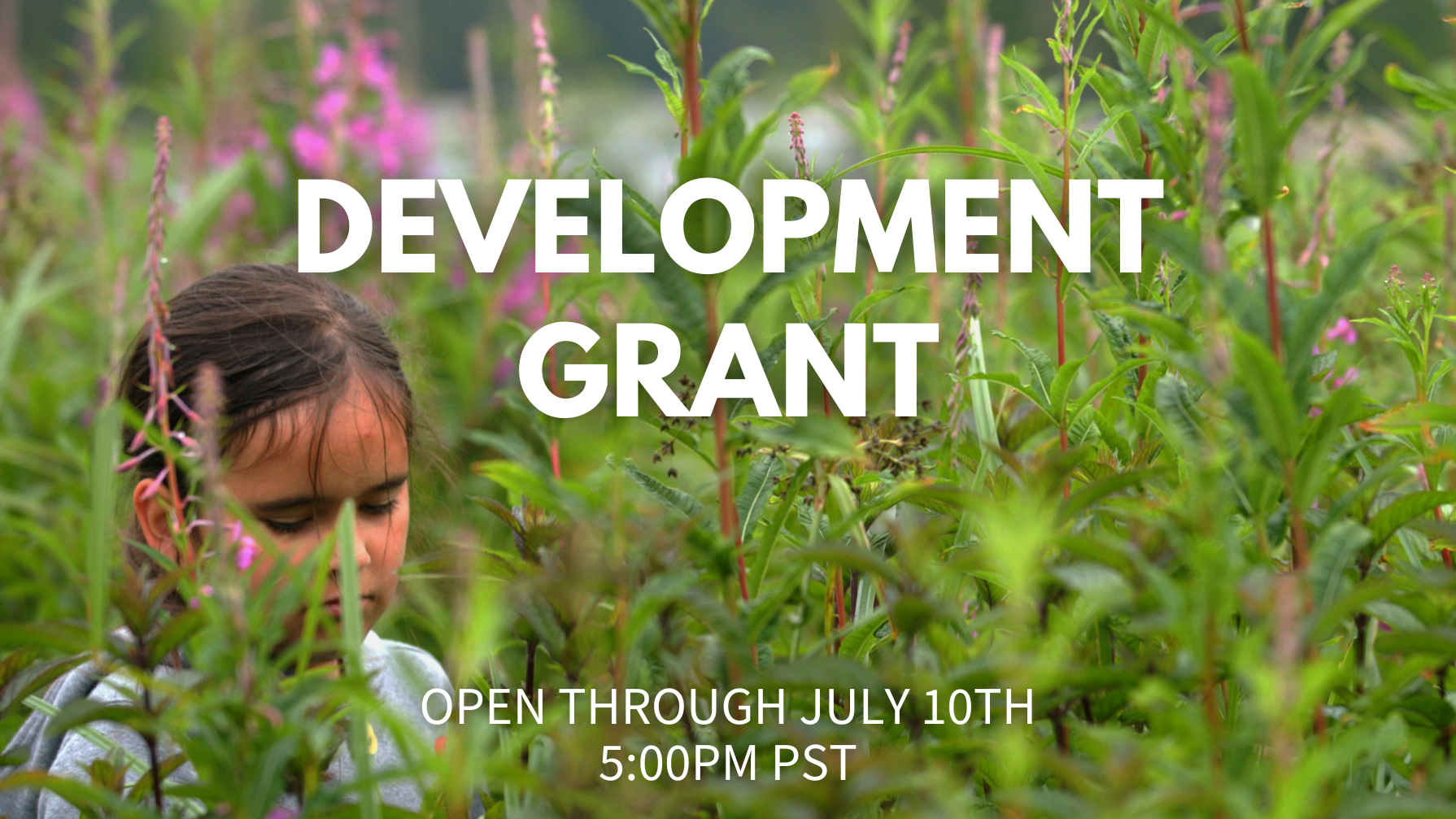 Development Grant open through 7/10