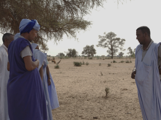 The Gift of Blindness